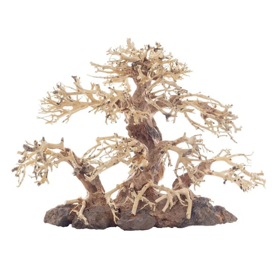 PROGROW Bonsai Tree BT2M 30x15x23cm drzewko Inna marka