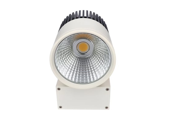 Projektor LED szynowy 46W 3000K w kolorze białym Prescot