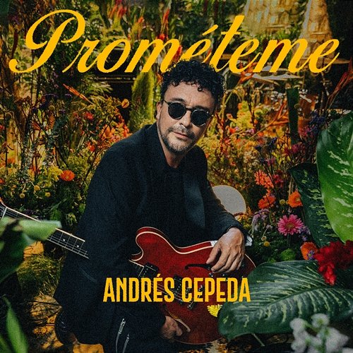 Prométeme Andrés Cepeda