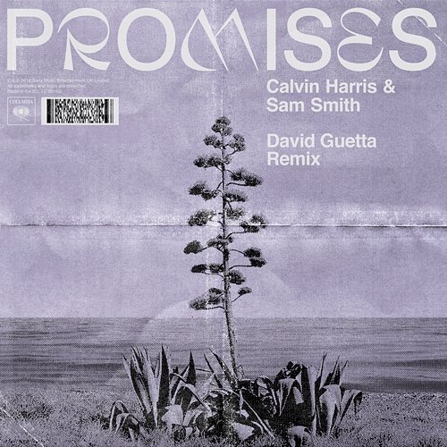 Promises Calvin Harris, Sam Smith