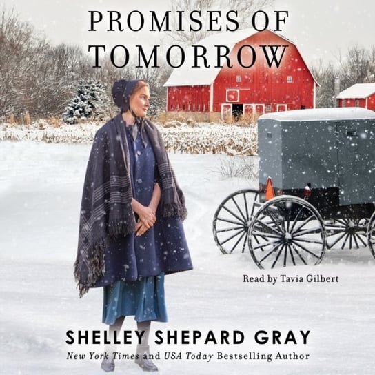 Promises of Tomorrow Gray Shelley Shepard