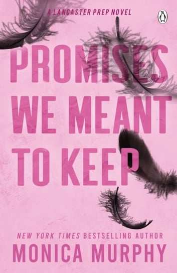 Promises We Meant To Keep Murphy Monica