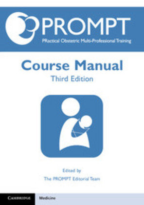 Prompt Course Manual Winter Cathy