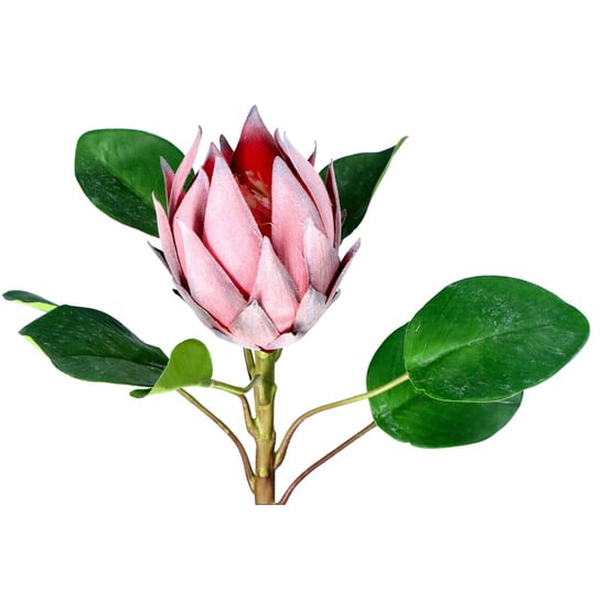 Prothea na łodydze sztuczny kwiat duży różowy 52cm ABC