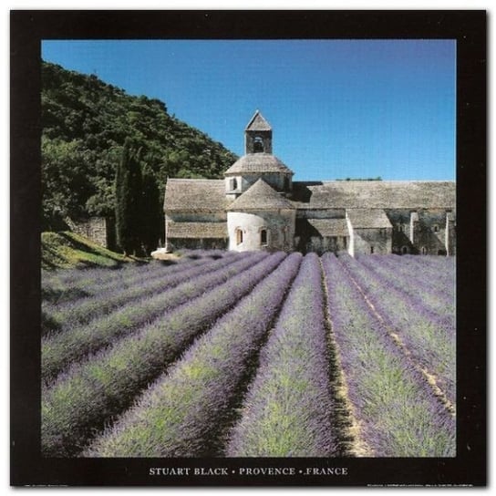Provence, France plakat obraz 70x70cm Wizard+Genius