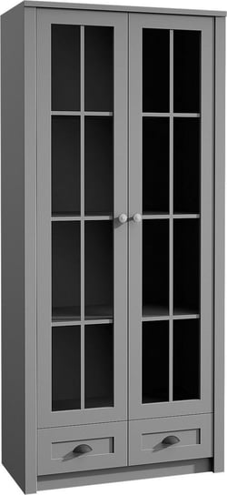 Prowansja Grey W2S - witryna 2 drzwiowa 2 szuflady Gała Meble