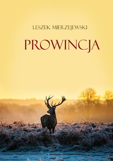 Prowincja Mierzejewski Leszek