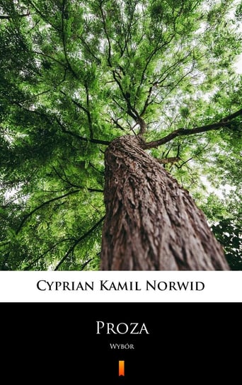 Proza Norwid Cyprian Kamil