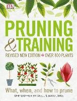 Pruning and Training, Revised New Edition: What, When, and How to Prune Dk