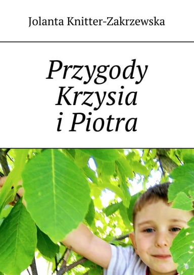 Przygody Krzysia i Piotra - ebook mobi Knitter-Zakrzewska Jolanta