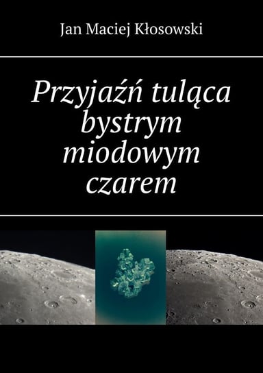 Przyjaźń tuląca bystrym miodowym czarem - ebook mobi Kłosowski Jan