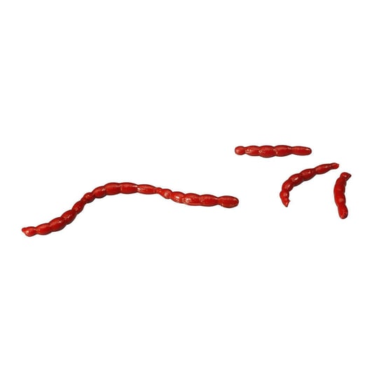 Przynęta sztuczny robak Berkley Gulp Alive Bloodworm czerwona 1236977 Berkley