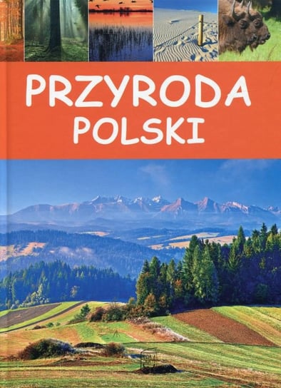 Przyroda Polski Żywczak Krzysztof