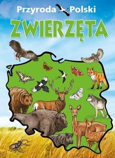 Przyroda Polski. Zwierzęta Opracowanie zbiorowe