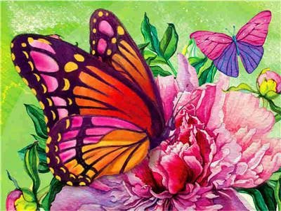 Przysmak motyla - Malowanie po numerach 50x40 cm ArtOnly