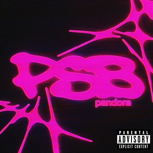 PSB Pandora, Skive