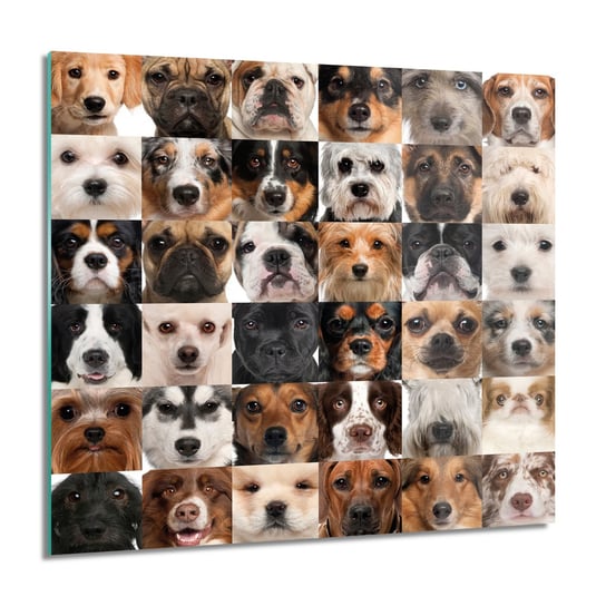 Psy głowa kolaż do kuchni obraz na szkle, 60x60 cm ArtPrintCave