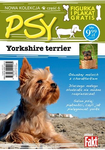 Psy. Tom 6. Yorkshire Terrier Ringier Axel Springer Sp. z o.o.