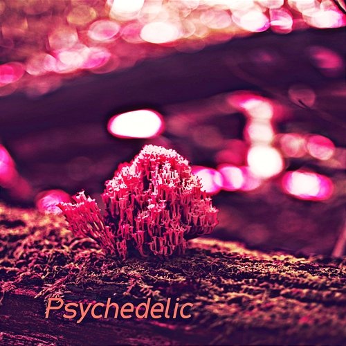 Psychedelic Robert Pryor