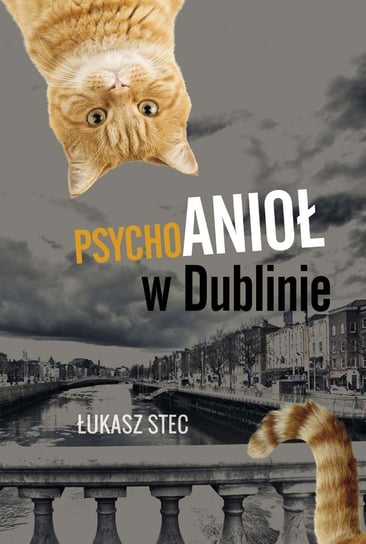 Psychoanioł w Dublinie Stec Łukasz
