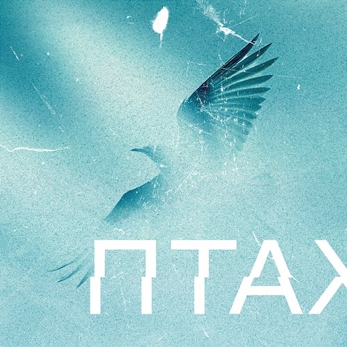 Птах Anton Kramar, SMLSKP