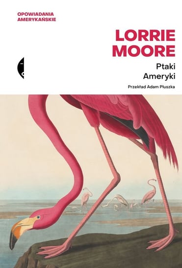 Ptaki Ameryki Lorrie Moore