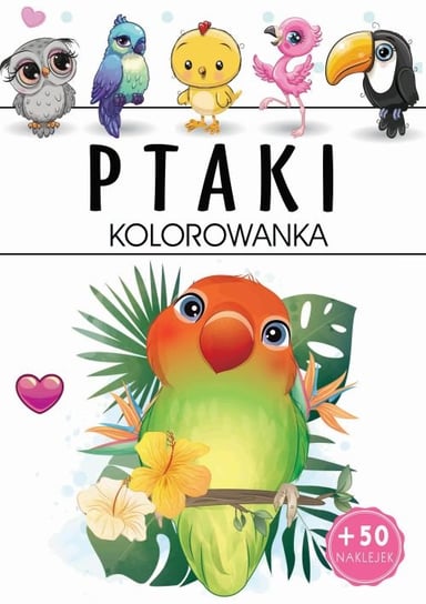 Ptaki. Kolorowanka Opracowanie zbiorowe