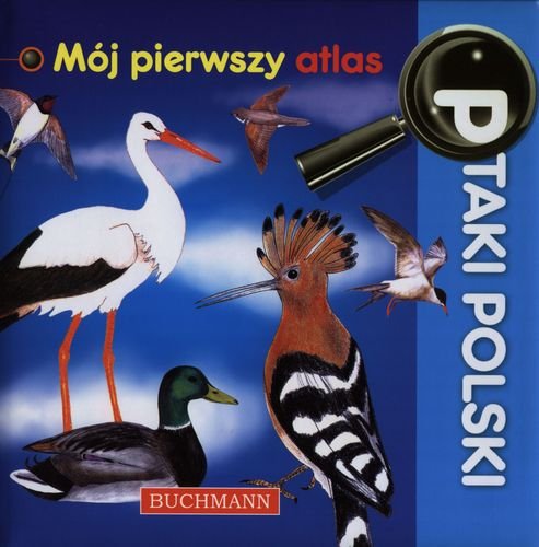 Ptaki Polski. Mój pierwszy atlas Grzędzicka Emilia