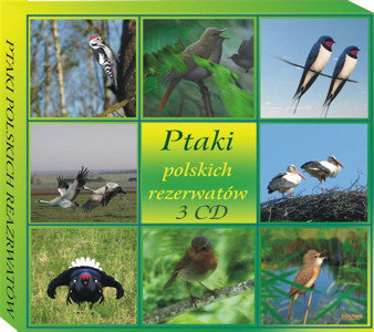 Ptaki Polskich Rezerwatów Odgłosy Natury
