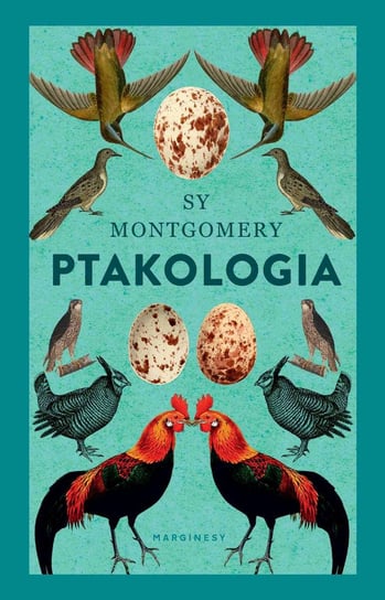 Ptakologia Montgomery Sy