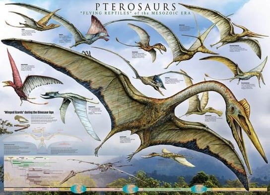 Pterozaury - plakat 61x91,5 cm Pyramid Posters