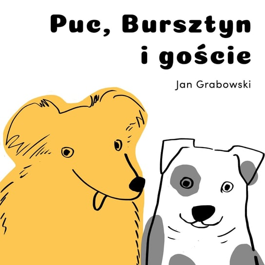 Puc, Bursztyn i goście - audiobook Grabowski Jan