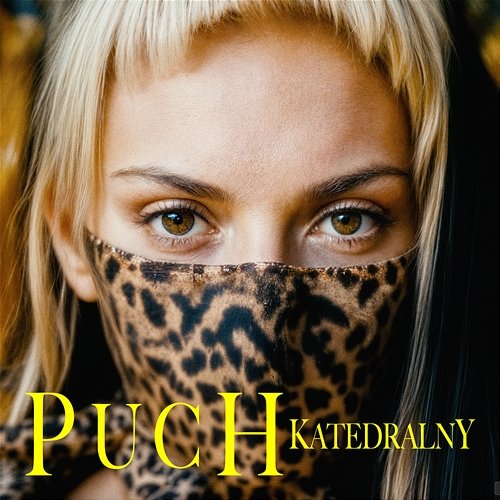 PUCH Katedralny Sarsa