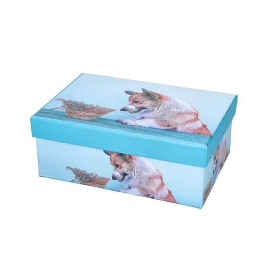 Pudełko prezentowe niebieskie z psem 19x13x7,5cm ABC