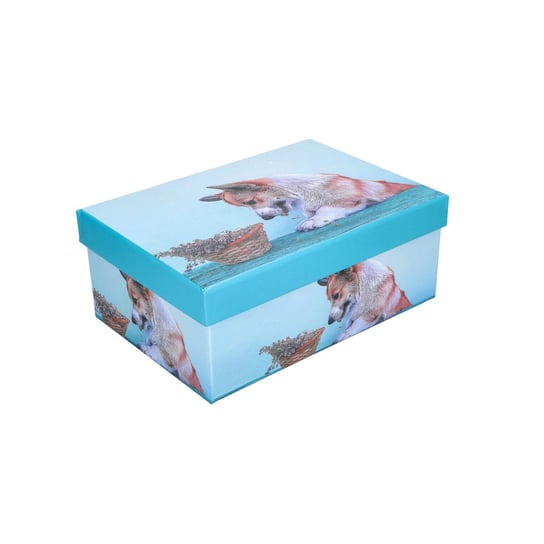 Pudełko prezentowe niebieskie z psem 21x15x8,5cm ABC