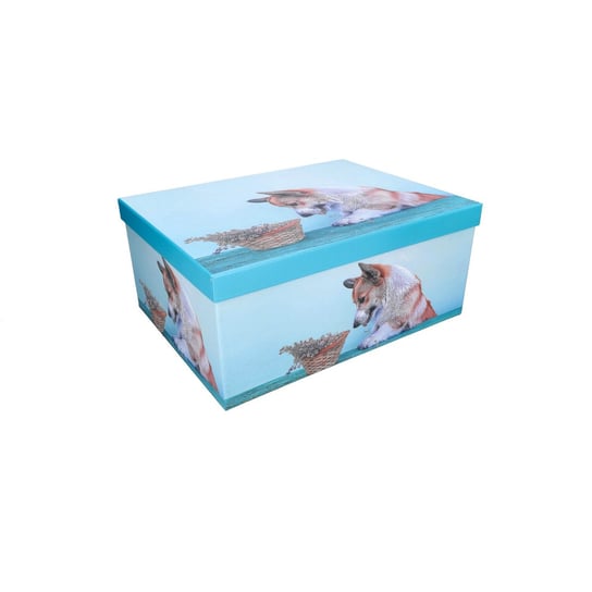 Pudełko prezentowe niebieskie z psem 35x27x15,5cm ABC