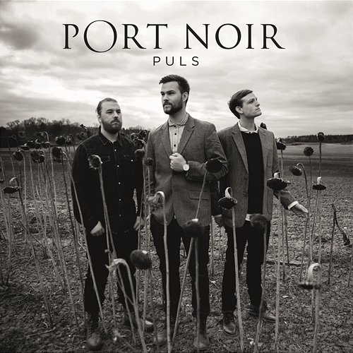 Thorns Port Noir