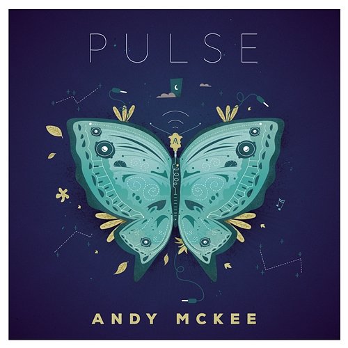 Pulse Andy McKee