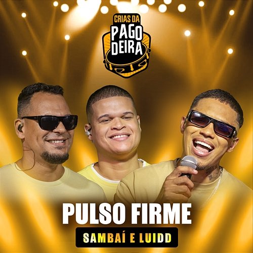 Pulso Firme Pagodeira, Grupo Sambaí, Luidd