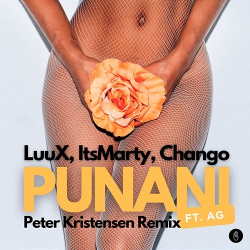 Punani ItsMarty & Chango feat. AG, LuuX