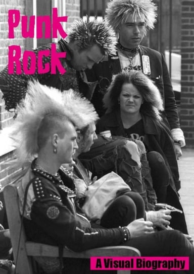 Punk Rock A Visual Biography Andy Francis