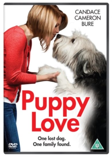 Puppy Love (brak polskiej wersji językowej) Frost Harvey