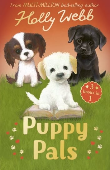 Puppy Pals: The Story Puppy, The Seaside Puppy, Monty the Sad Puppy Holly Webb