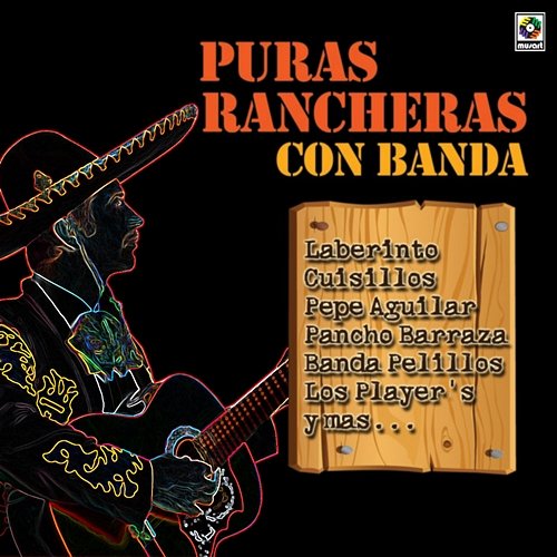 Puras Rancheras Con Banda Varios Artistas