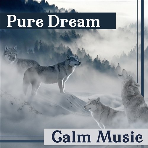 Pure Dream: Calm Music - New Age Relaxing Vibes, Be Calm, Dreaming of Sleep, Inner Silece, Secret Night Deep Sleep Universe