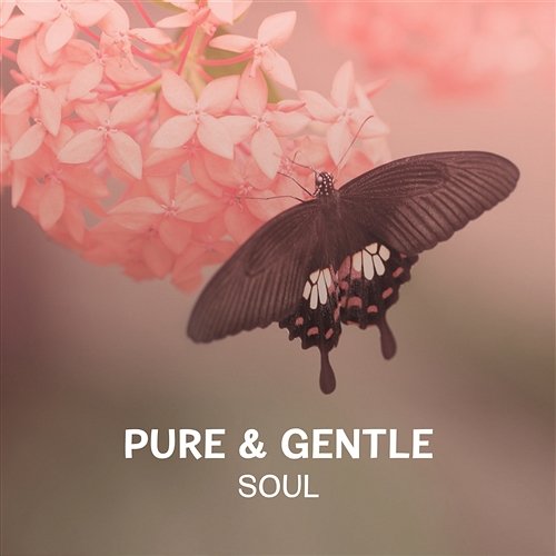 Pure & Gentle Soul – Meditation Music for Laden and Tired Mind, Calming Sounds to Fight Stress and Negative Emotions Relaxation Meditation Songs Divine