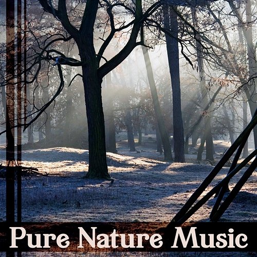 Pure Nature Music: Instrumental Natural Sounds for Relaxation, Meditation, Yoga Dream, Easy Sleep, Spa, Soothing Time, Healing Rain Zen Natural Sounds