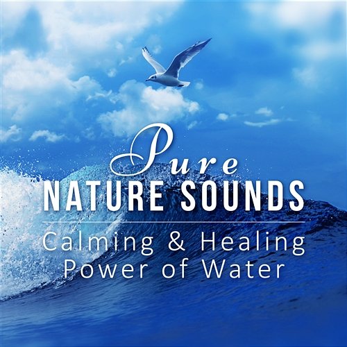 Pure Nature Sounds: Calming & Healing Power of Water, Soothing Rain, Relaxing Ocean Waves, Flowing River & Waterfalls Calming Waters Consort