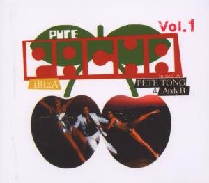 Pure Pacha Ibiza Volume 1 Various Artists