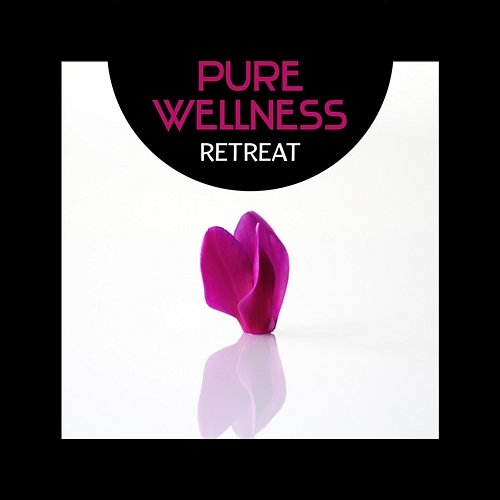 Pure Wellness Retreat – Ultimate Spa Relaxation, New Age Mood, Feeling Peace, Luxury Space for Rest, Natural Hypnosis Various Artists